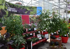 Also at Sakata, ornamental vegetables are on display.